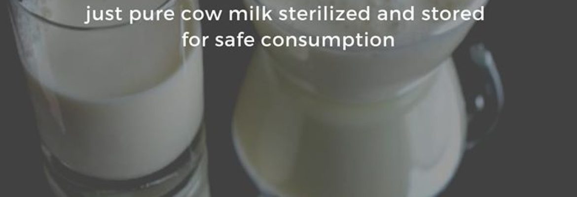 Fresh Cow Milk